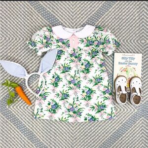 The Beaufort Bonnet Company Cindy Lou Dress in Biltmore Bouquet 4T TBBC